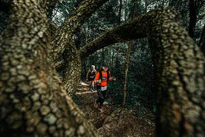 BIB: 
                            <button type="button" onclick="openModal(25703665)" class="btn btn-primary btn-sm float-right btn-popup" data-toggle="modal" data-target=".modal-high-quality">
                        <i class="fas fa-shopping-cart"></i> Add to Cart
                    </button>
                                            <button type="button" onclick="isThisMe(25703665, true)" class="btn btn-success btn-sm float-right btn-popup btn-isme hidden" data-toggle="tooltip" data-placement="bottom" title="นี่คือรูปของคุณใช่ไหม คลิกที่นี่เพื่อเอาเข้าอัลบั้ม">
                        <i class="fas fa-plus"></i> Add to album
                    </button>
                    <button type="button" onclick="isThisMe(25703665, false)" class="btn btn-warning btn-sm float-right btn-popup btn-isnotme hidden">
                        <i class="fas fa-ban"></i> Remove from album
                    </button>